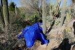 PICTURES/Desert Botanical Gardens - Wild Rising Cracking Art/t_Croc1.JPG